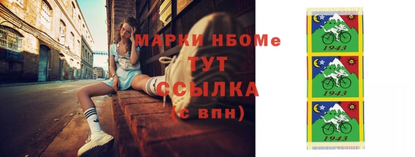 ПСИЛОЦИБИНОВЫЕ ГРИБЫ Вязники