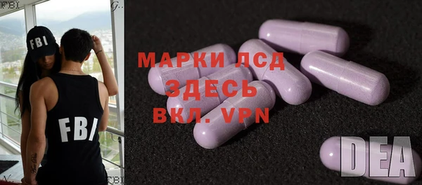 ПСИЛОЦИБИНОВЫЕ ГРИБЫ Вязники