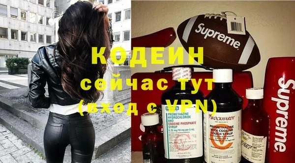 ПСИЛОЦИБИНОВЫЕ ГРИБЫ Вязники