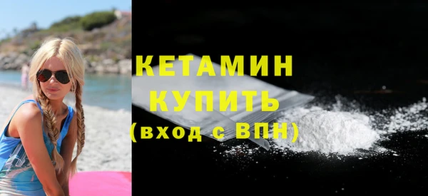 ПСИЛОЦИБИНОВЫЕ ГРИБЫ Вязники