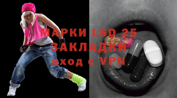 ПСИЛОЦИБИНОВЫЕ ГРИБЫ Вязники