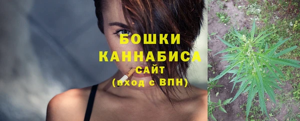 ПСИЛОЦИБИНОВЫЕ ГРИБЫ Вязники