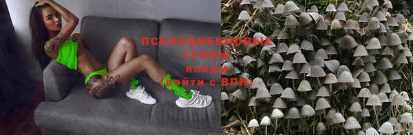 марки lsd Вяземский