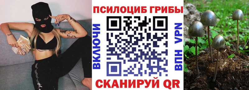 Галлюциногенные грибы MAGIC MUSHROOMS Купить где Южно-Сахалинск